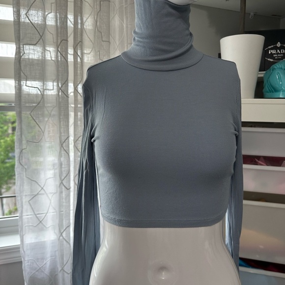 Aritzia Gray Long Sleeve Fitted Crop Top - Picture 2 of 2